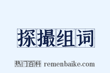 探撮组词是什么意思的图片